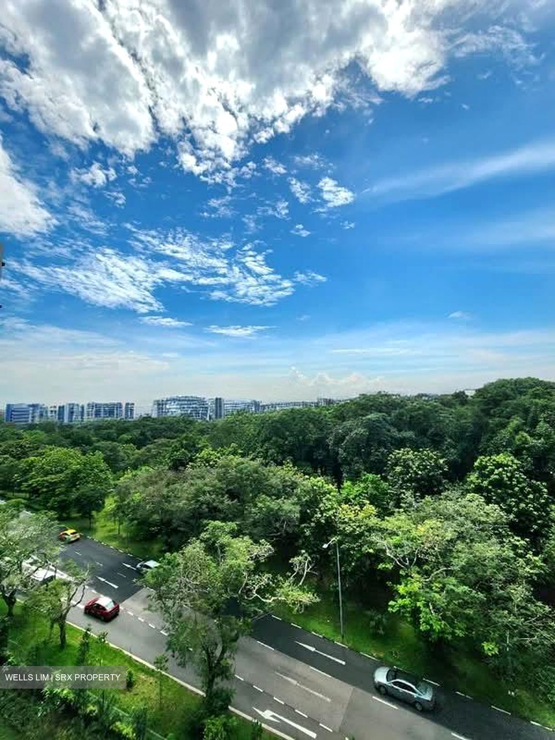 Treasure at Tampines (D18), Condominium #540939551